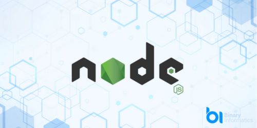 Outsourcing Node.js Development Company